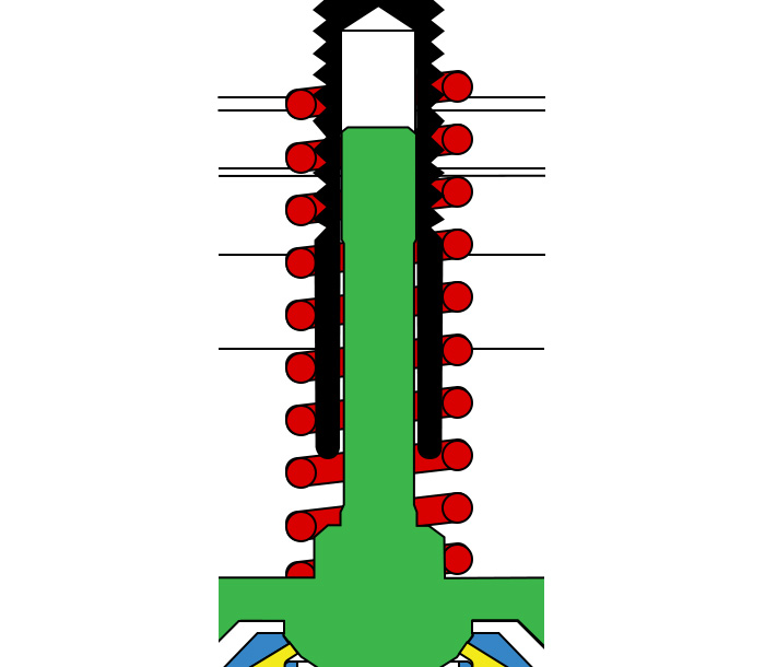 Mercer guided spring